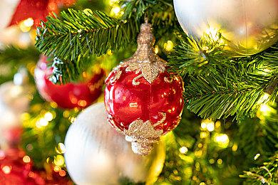 《艾尔登法环》在澳大利亚完成分级 与前作同为MA15+